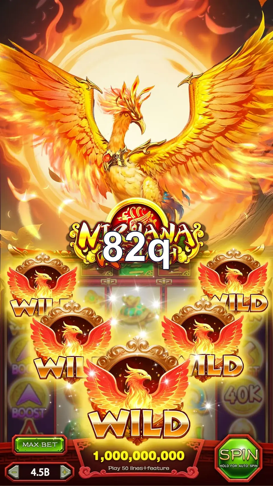 82q Login